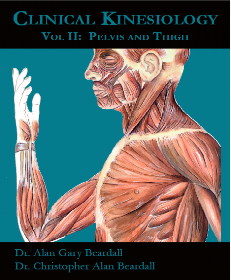 2 > Clinical Kinesiology Volume II: Muscles of the Pelvis and Thigh (for paperback only)