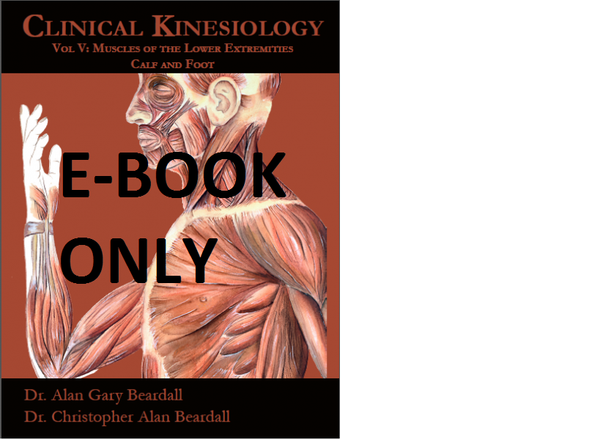 5 > Clinical Kinesiology Volume V: Muscles of the Lower Extremities Calf and Foot (for paperback only)