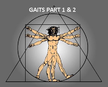 8a > GAITS Part 1 & 2 Lecture - Dr. Alan G.  Beardall DC (STREAMABLE VIDEOS)